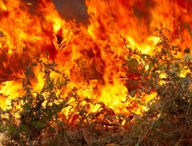 Πυρκαγιά στα Χανιά απειλεί κατοικημένη περιοχή